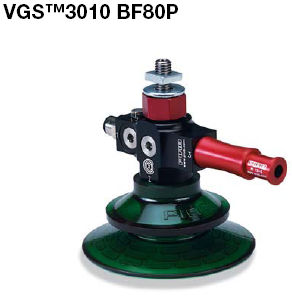 VGS 3010 BF80P VGS3010